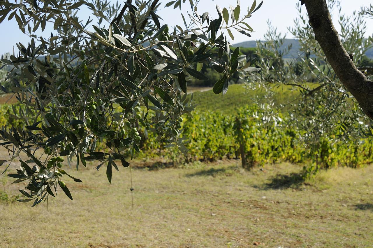 Villa S.Andrea Antico Podere Zobi San Casciano in Val di Pesa Exterior photo